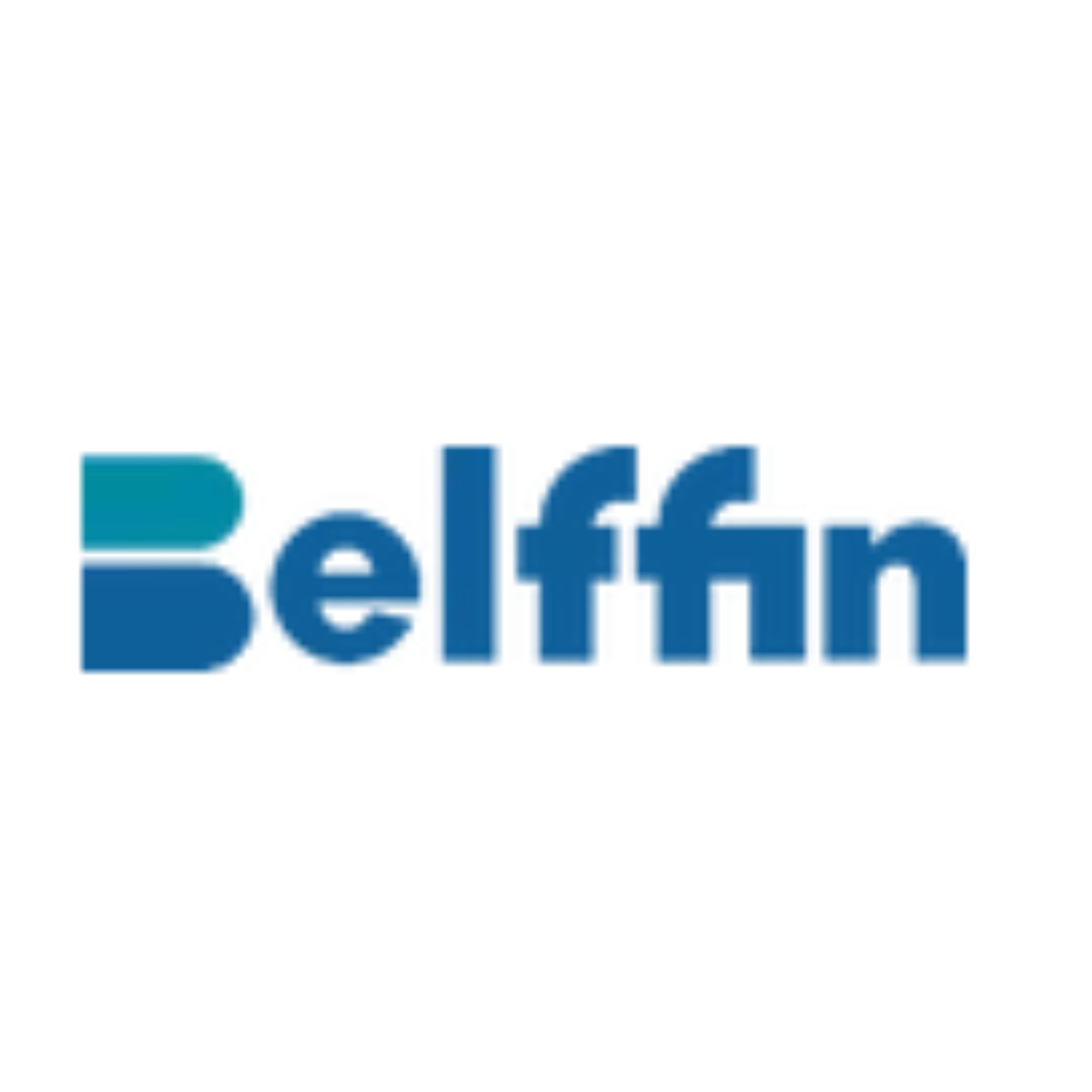 Belffin US Logo