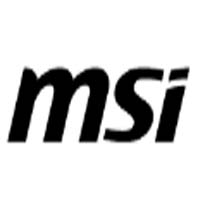 Msi US Logo
