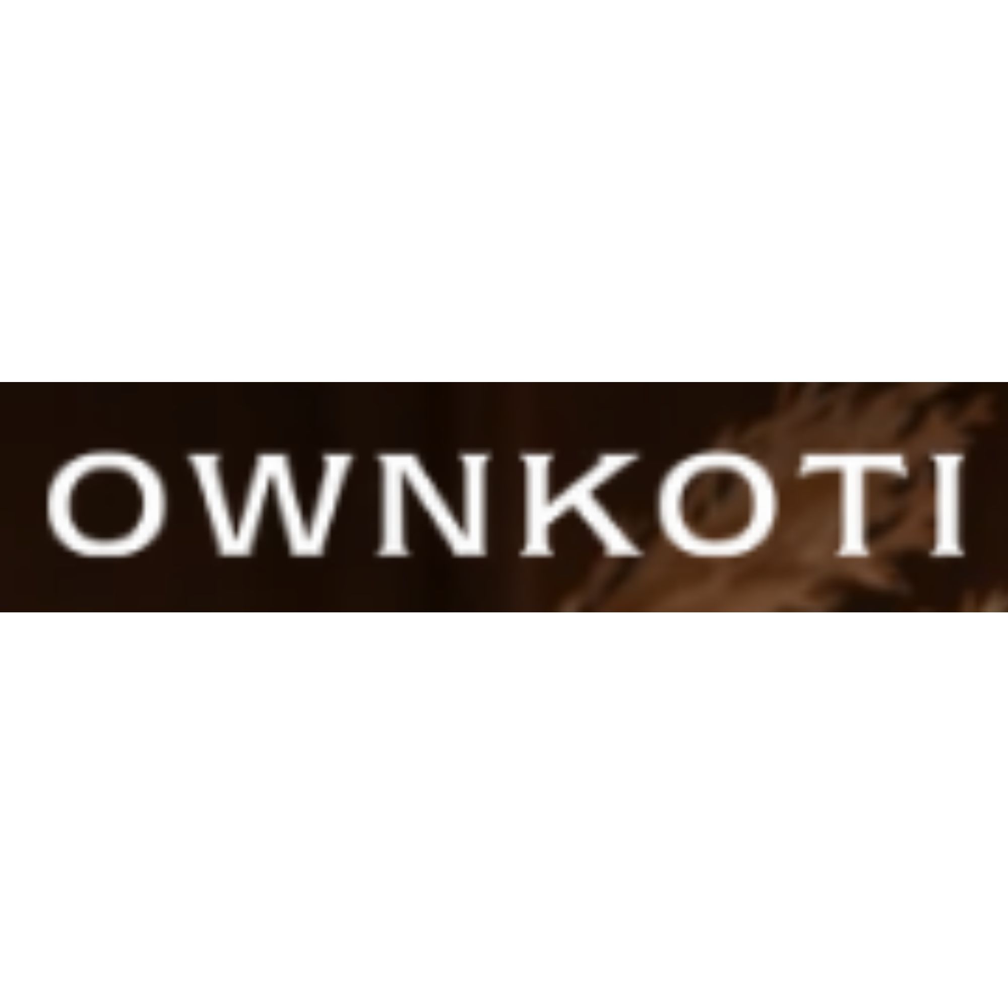 Ownkoti US logo