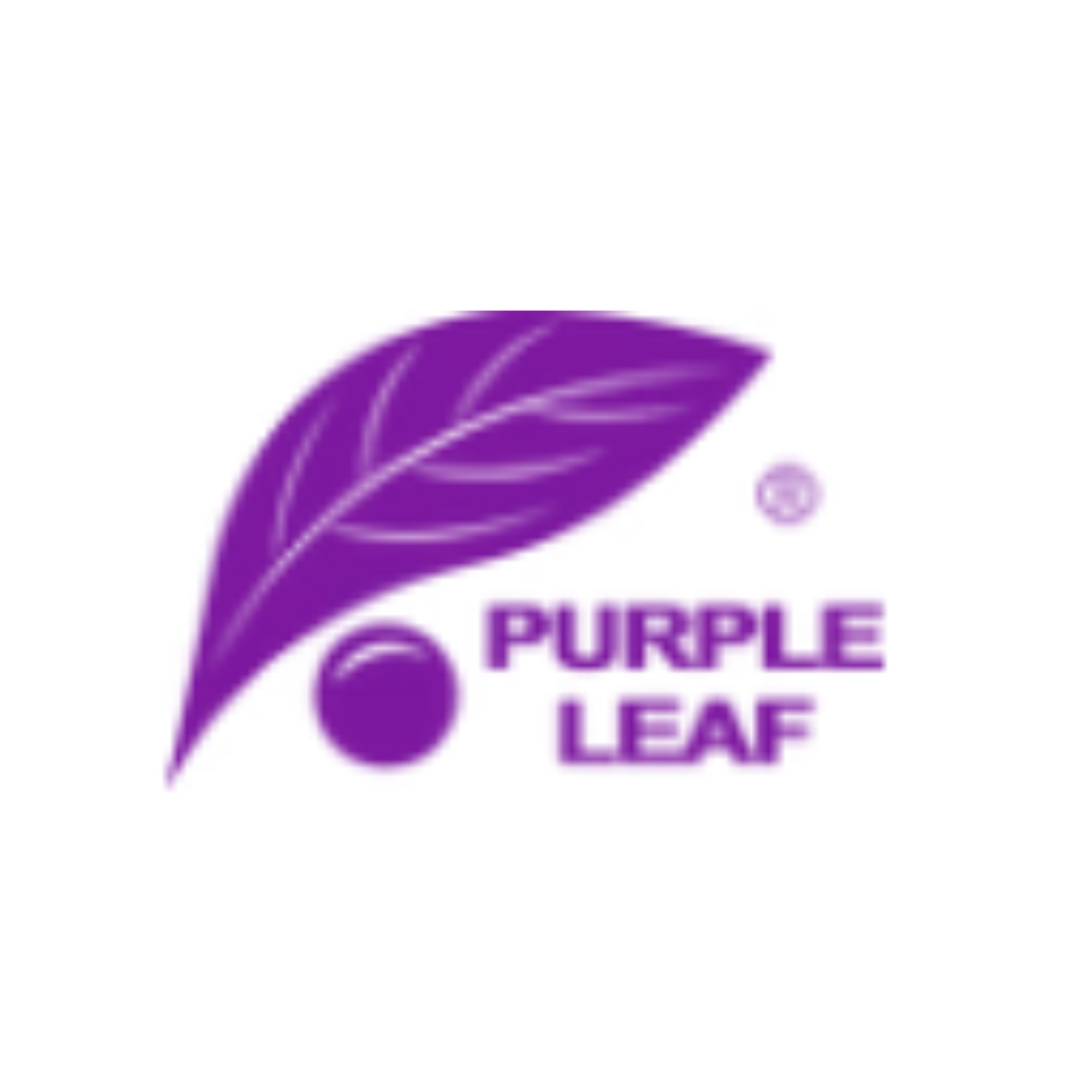 Purple Leaf US logo