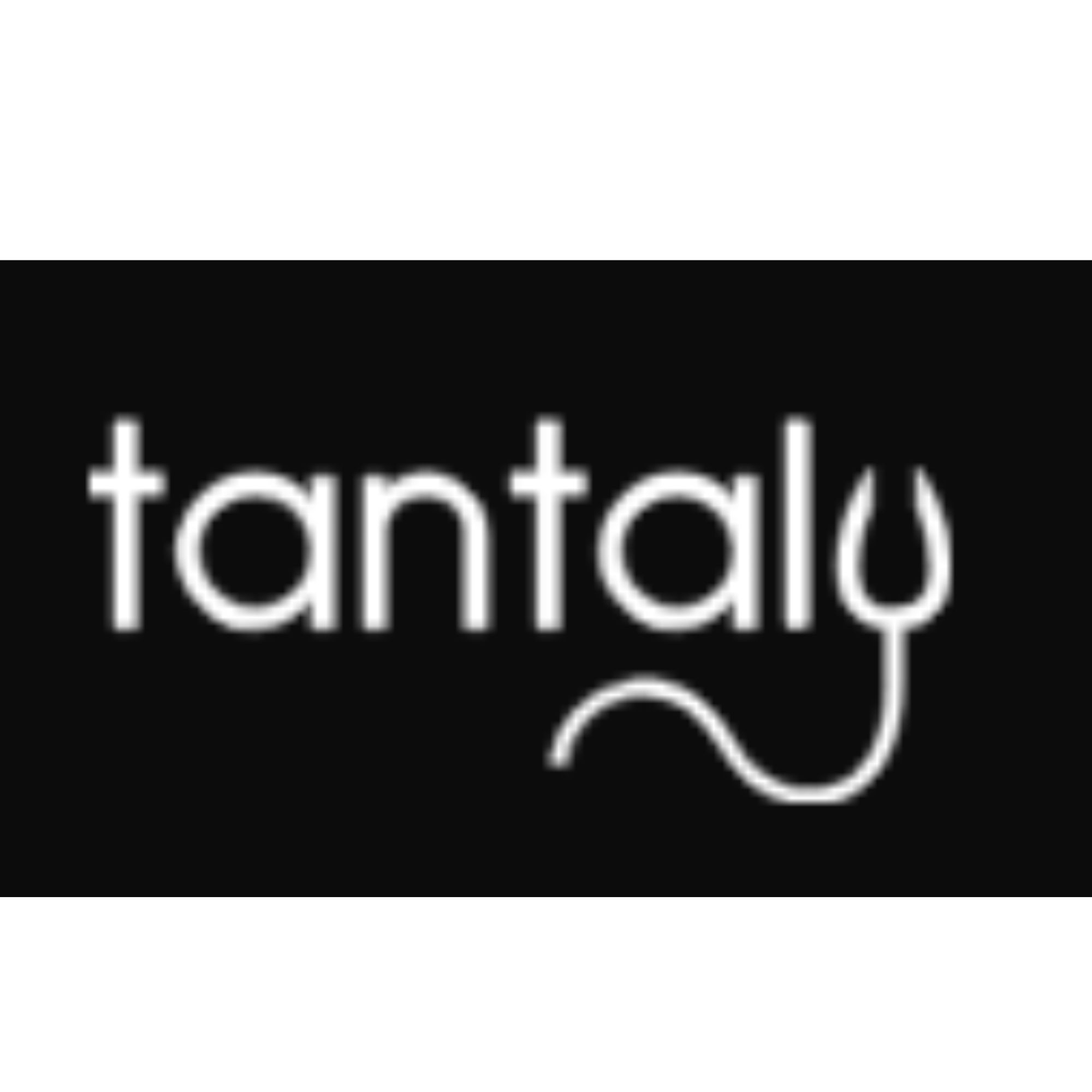 Tantaly US logo