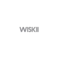 Wiskii US Logo