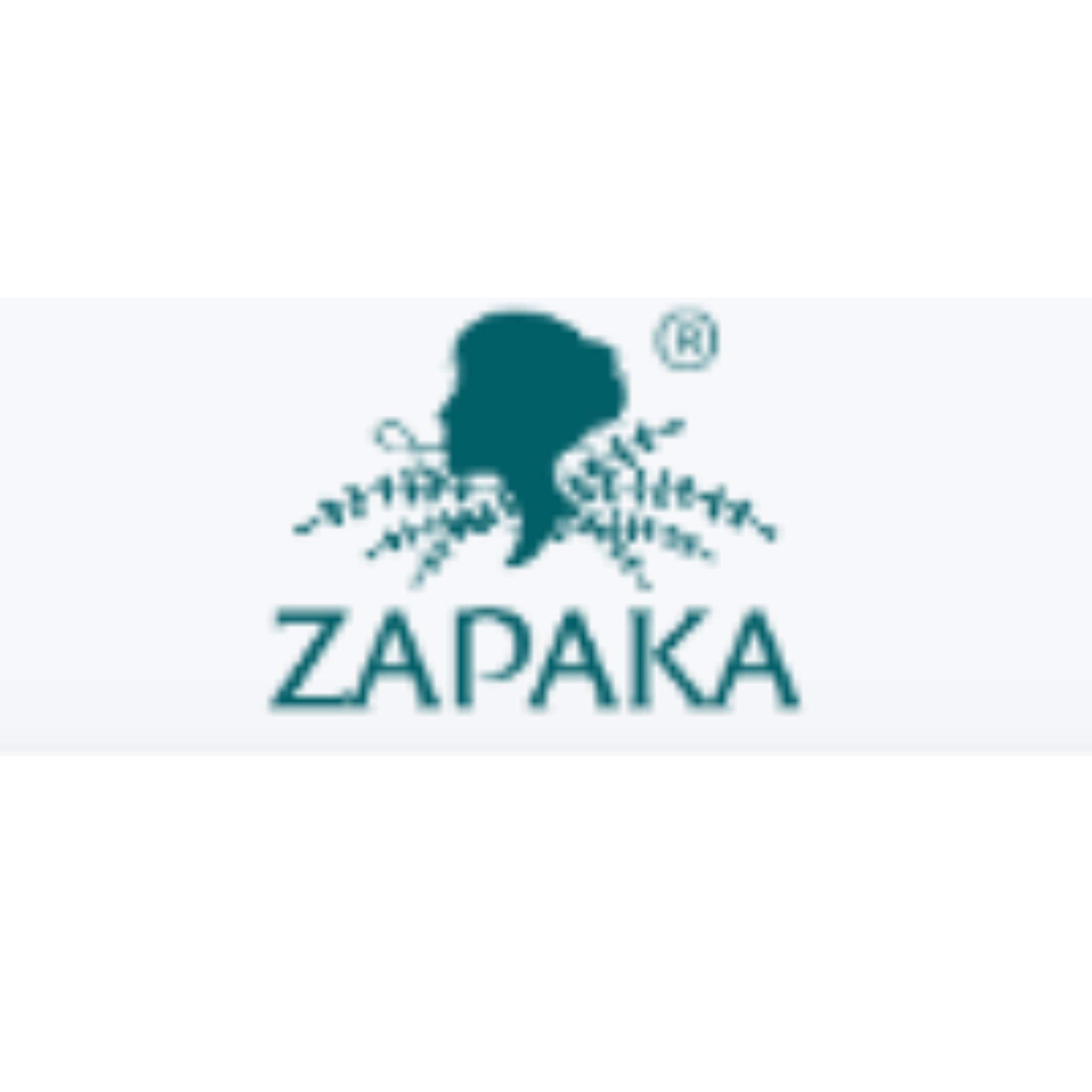 ZAPAKA US logo